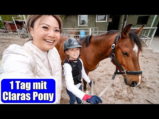 1 Tag auf dem Reiterhof  mit Claras Pony & vielen Pferden | Mamiseelen