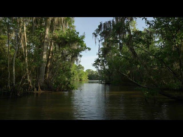 ROUGAROU - Legendary Beast of South Louisiana, History and Folklore