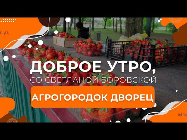 Лунинецкий район | Агрогородок Дворец | "Доброе утро, Беларусь! со Светланой Боровской"