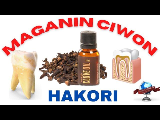 Yadda Ake Maganin Ciwon Hakori