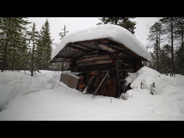 THE OLD HUT. I BROUGHT THE OVEN. ABOUT THE HUT. LOTS OF FISH. WILD FISHING.