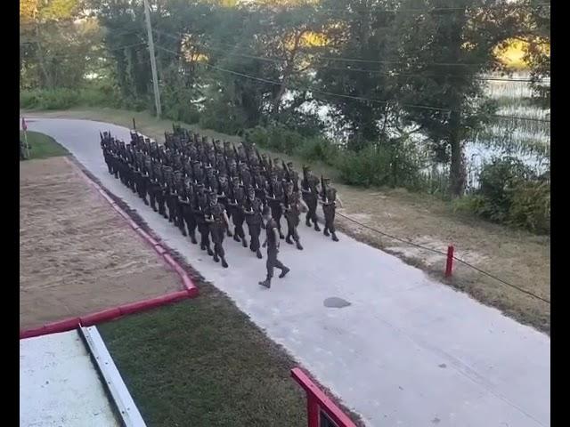 Hear the "Thunderous Heels" of USMC MARINES in this Incredible Drill!