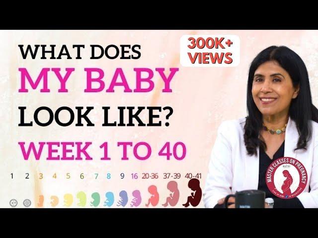 What does my Baby look like? Week 1 to 40 | Dr. Anjali Kumar | Maitri