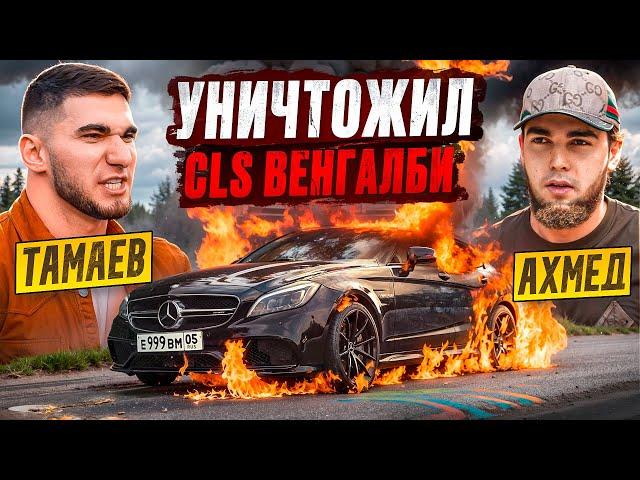 ТАМАЕВ УНИЧТОЖИЛ CLS ВЕНГАЛБИ! Конфликт с Ахмедом?!