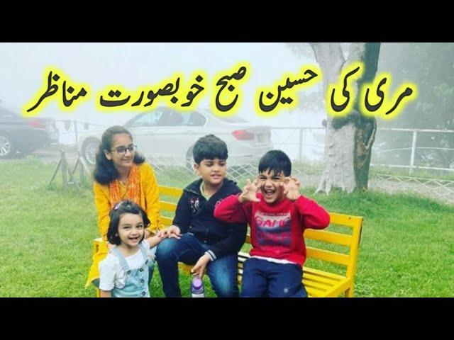 Murree Trip 2022 || Beautiful Scenes of Murree Morning || M Shafay Waqas