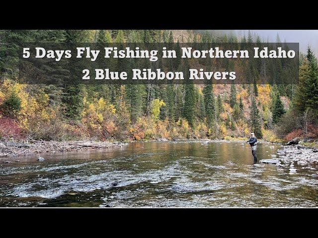 5 Days Fly Fishing on 2 Blue Ribbon Rivers in Northern Idaho