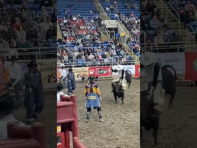 80 Points lastnight in Fargo, ND #prca #rodeo #pbrbullriding #bullriding #cowboys
