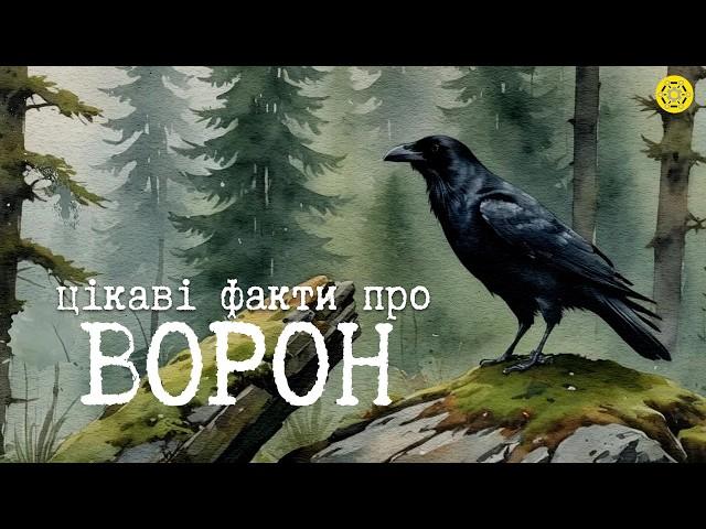 ВОРОНИ: птахи-генії | ОДНІ з НАЙРОЗУМНІШИХ птахів у СВІТІ | Цікаві Факти