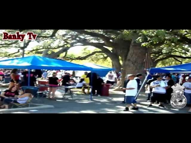 210 Low Low Car Show Pt.1 - Banky Tv Movement