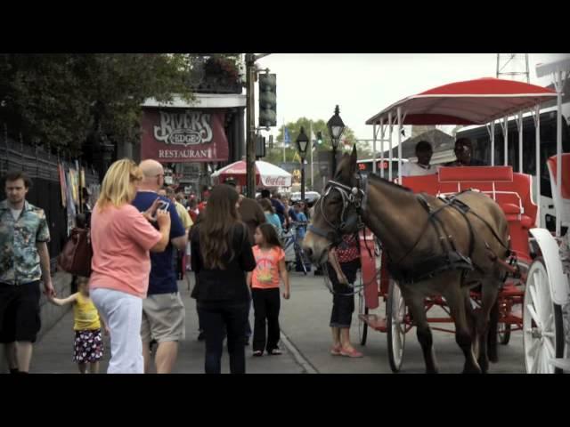 New Orleans Mule Drawn Carriage Tours