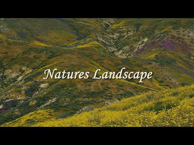 Nature's Landscape | A Visual Odyssey of Nature's Grandeur (Excerpt)