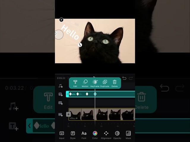 10.Key Frame Animation 丨VN Video Editor App