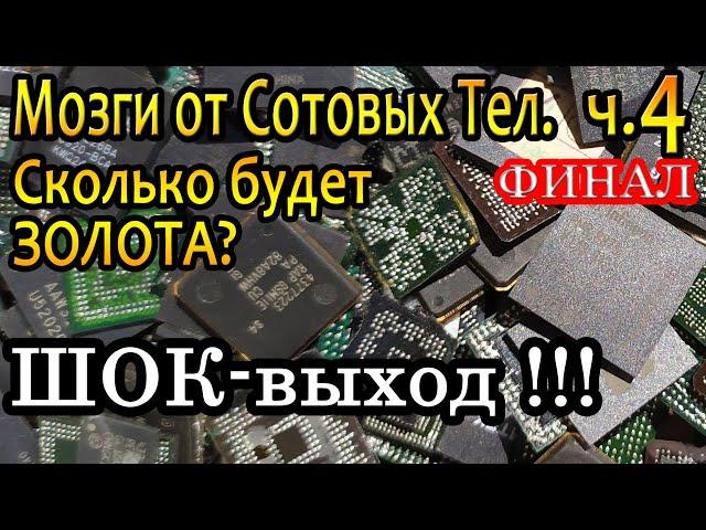 Мозги от сотовых Тел. Финал. Шок выход