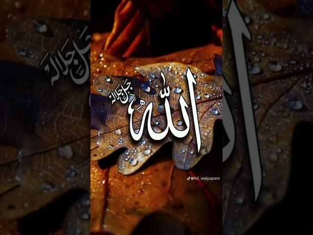 @rsfriends #viralshort #shorts #foryoupage #foryou #goviral #islamicvideo #love