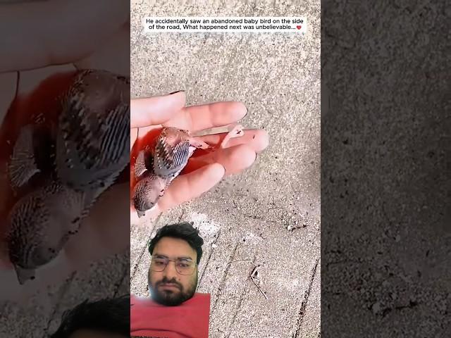 The poor bird was found and people saved it