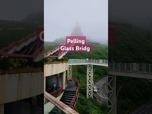 Pelling #glass bridge #mountains #shortvideo #travel #travel with amaresh