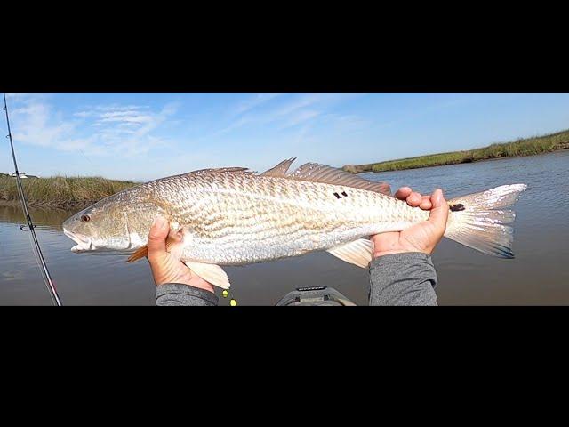 Calcasieu Lake Fishing, Redfish, Flounder and more