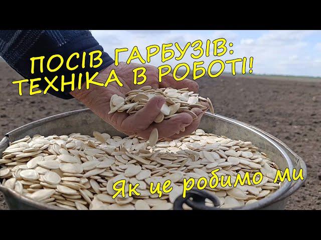 Гарбузовий десант: висадка на свої й братові гектари