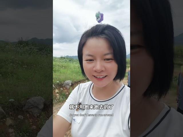 80后单身博主拿下山头改造小院，终于开始修路了#改造小院 #旅居生活 #床车旅行