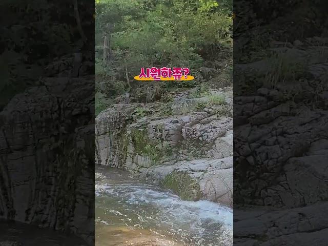 강릉 소금강산야영장 계곡 - 피서 #소금강산 #피서 #강릉 #국립공원야영장 Gangneung Sogeumgangsan Camping Site Valley Water Play