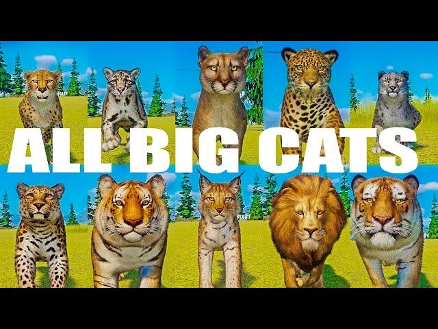 All Big Cats Speed Races in Planet Zoo The Ultimate BIG Cat Speed Races included Tiger, Lion, Lynx