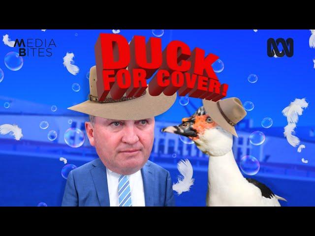 Duck for cover! | Media Bites