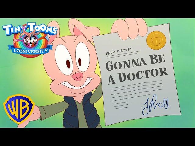 Doctor Hamton J. Pig 🩺 | Tiny Toons Looniversity | @WBKidsLatino​