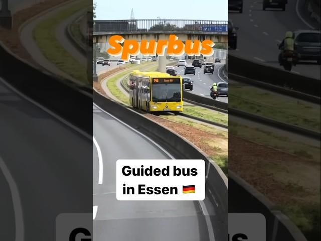 Spurbus - Guided bus in Essen 