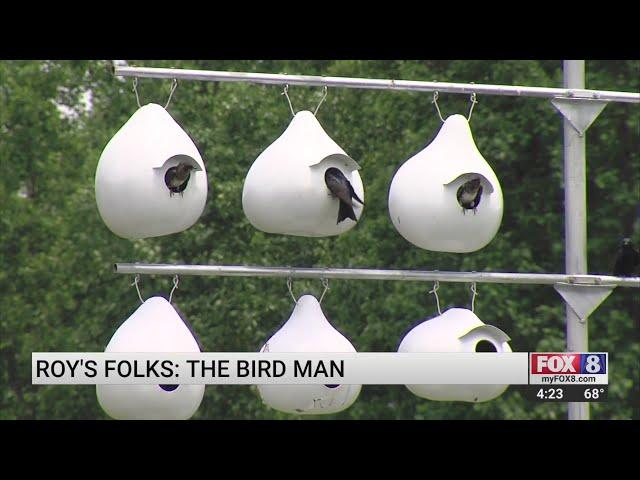 Midway man turns backyard into Purple Martin paradise