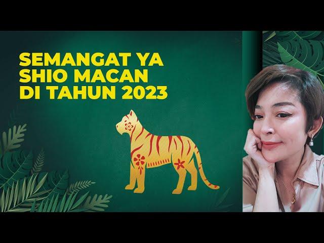 Shio Macan Berpotensi Besar Sukses Ditahun ini? | Peruntungan Shio Macan 2023