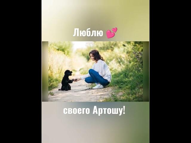 #стихи о собаке / читает Инна Тайна / автор Роберт Рождественский