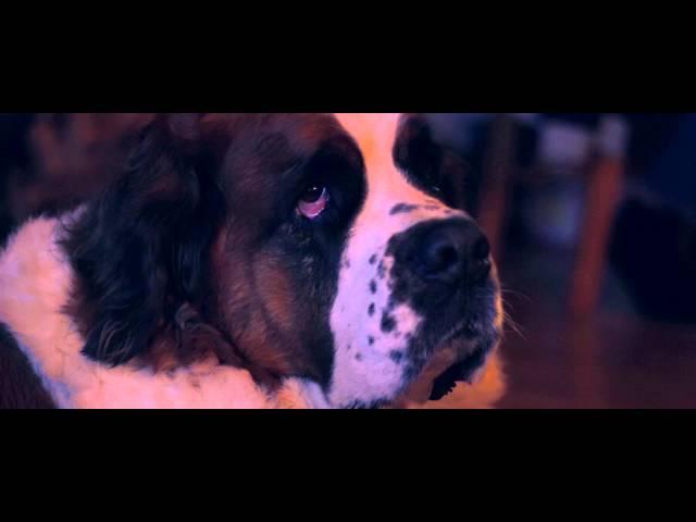 Canon EF 50mm f/1.8 STM first test