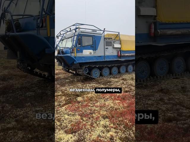 Обзор самого проходимого автомобиля  на севере - Четра ТМ-140, уже на ПриветТачка #shotrs #short