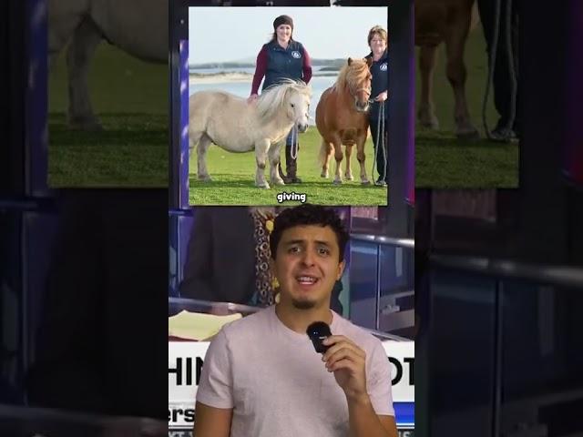 This Politician Has The Craziest Campaign Promises