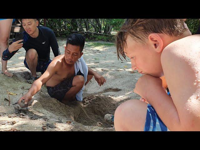 Turtle Island Borneo (Selingaan Island Park) full tour plus baby Turtles and a couple of surprises