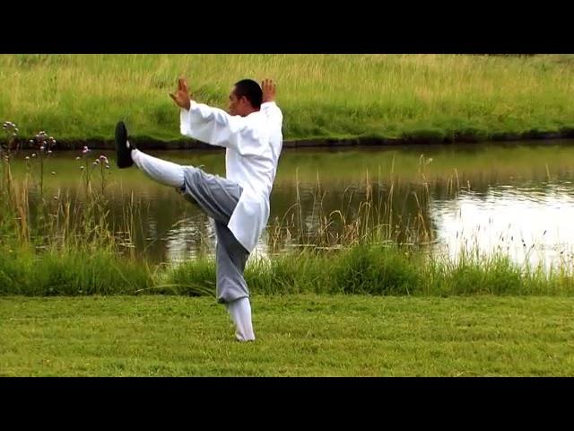 Tai Chi Chuan by a Shaolin Monk in Nature