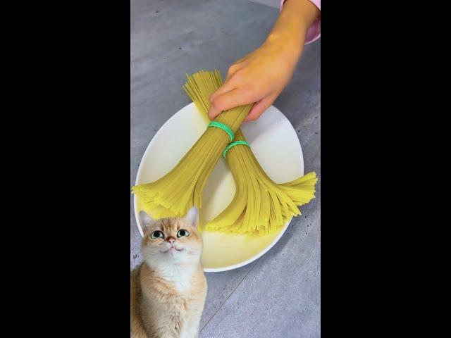 Food Meets Art: Colorful Pasta Painting Fun!  #reaction #cat #foodart #pasta #fun