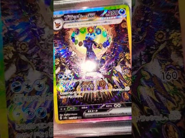 Umbreon!!! PSA 10!! #Sunbreon #prismaticevolutions #terastalfestival #Umbreon #Sunbreon #Pokemon