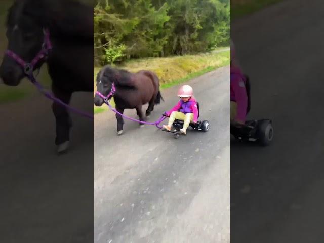 Ella and Black having fun as always  #shorts #pony #horse