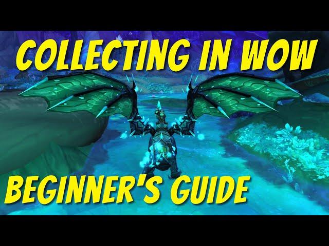 How to start collecting achievements and farming mounts & pets in WoW!