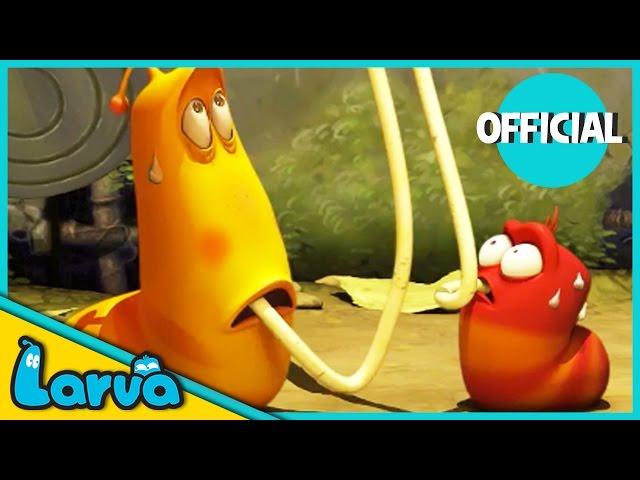 LARVA Funny Animation | LARVA AND THE SPAGHETTI | Cartoons | Comics | LARVA Official