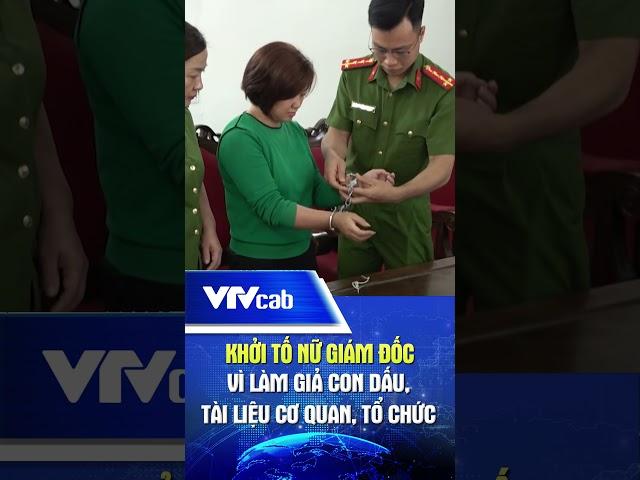 Khởi tố nữ giám đốc vì làm giả con dấu, tài liệu cơ quan, tổ chức