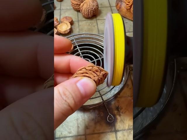 He Makes THOUSANDS From PEACH PITS!  #diy #craft #artist