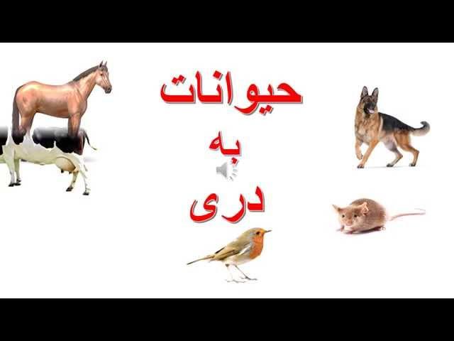 Animals in Dari