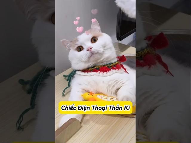  Dứa không cần smartphone, vẫn gọi được ! #emthocreview #shorts #trend #viral #hàihước #giảitrí