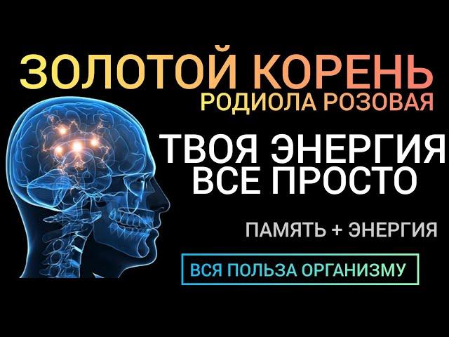 Родиола Розовая l Когда энергия на нуле l Польза и как принимать l Health Benefits of Rhodiola