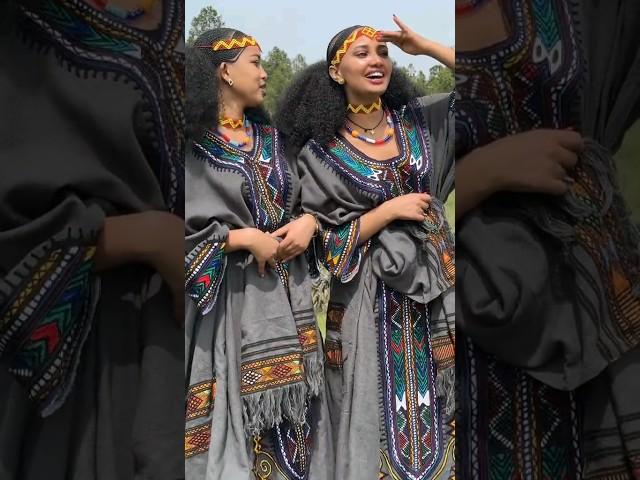 ለለየ ለለውማ #tiktok #music #vairalvideo #ethiopian #raya #dance #tigray #habesha #yyutubeshorts