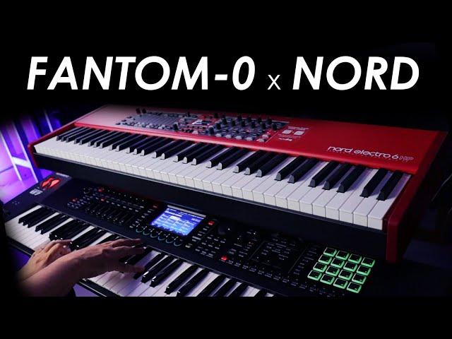 "ROLAND FANTOM-0 vs NORD ELECTRO 6 HP" | [Sounds Comparasion]