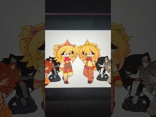 Wi Wi Wi Cat(s) ️              ft: Rango, Muffin, Salem, Cleo #wiwiwicat #femme #suns