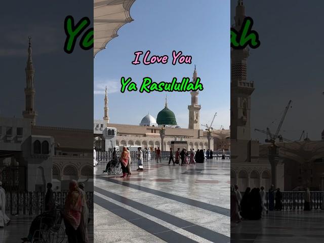 I Love You Ya Rasulullah #madina #sholawat #shorts